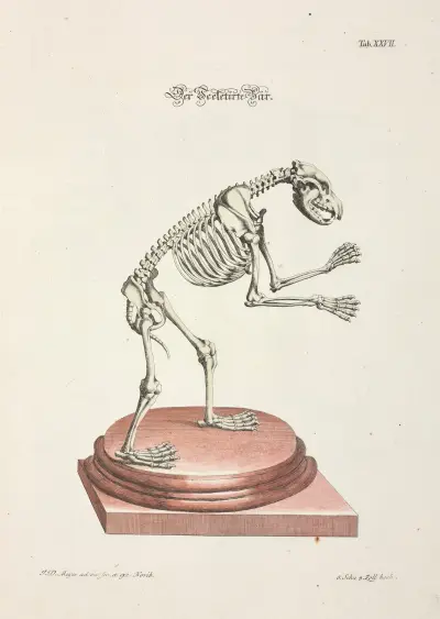 Angenehmer und nützlicher Zeit-Vertreib Pl.027 av Johann Daniel Meyer