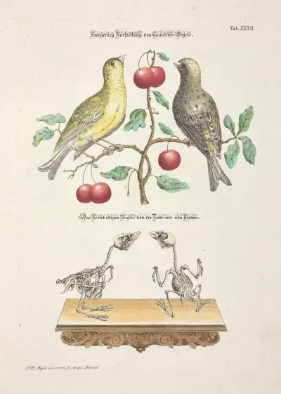 Angenehmer und nützlicher Zeit-Vertreib, blad 032 av Johann Daniel Meyer