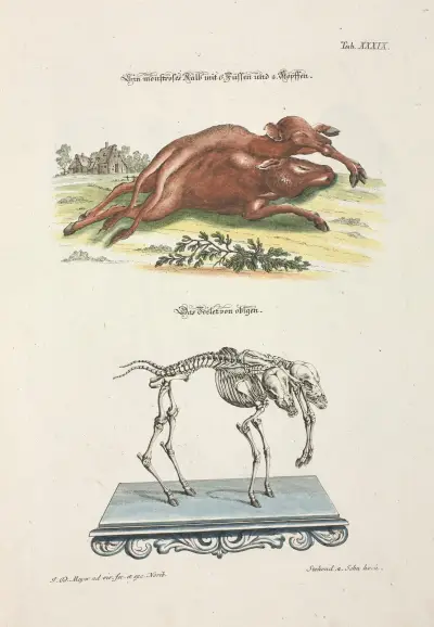 Angenehmer und nützlicher Zeit-Vertreib Pl.039 av Johann Daniel Meyer