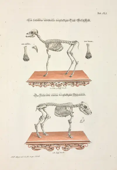 Angenehmer und nützlicher Zeit-Vertreib Pl.041 av Johann Daniel Meyer