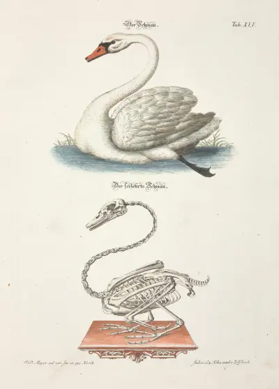 Angenehmer und nützlicher Zeit-Vertreib Pl.045 av Johann Daniel Meyer
