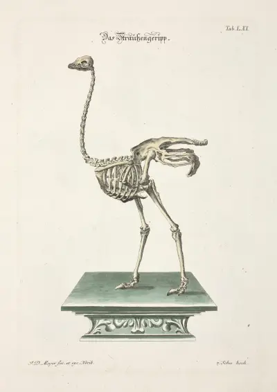 Angenehmer und nützlicher Zeit-Vertreib Pl.061 av Johann Daniel Meyer