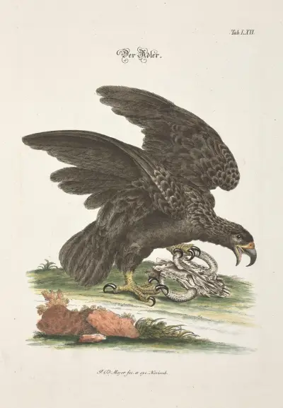Angenehmer und nützlicher Zeit-Vertreib Pl.062 av Johann Daniel Meyer