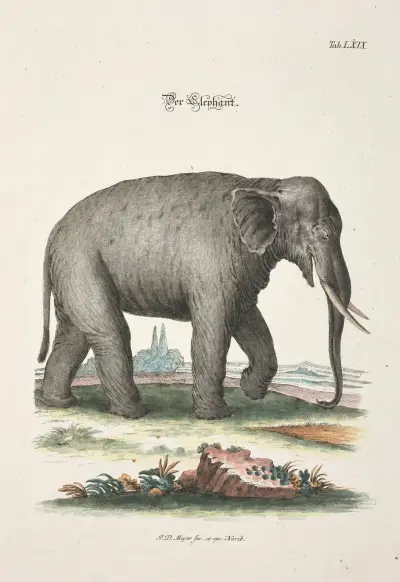 Angenehmer und nützlicher Zeit-Vertreib (Pl.069) av Johann Daniel Meyer