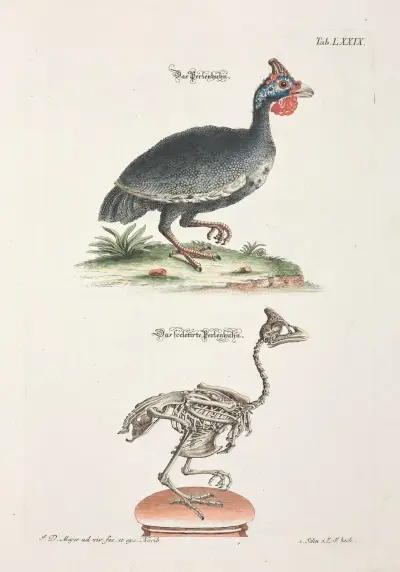 Angenehmer und nützlicher Zeit-Vertreib Pl.079 av Johann Daniel Meyer
