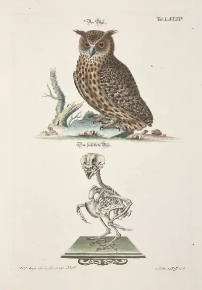 Angenehmer und nützlicher Zeit-Vertreib Pl.084 av Johann Daniel Meyer
