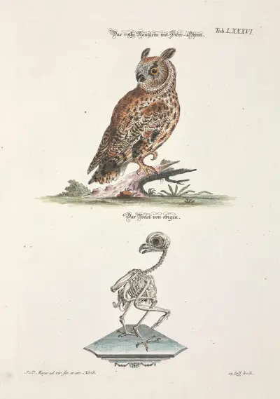 Angenehmer und nützlicher Zeit-Vertreib Pl.086 av Johann Daniel Meyer
