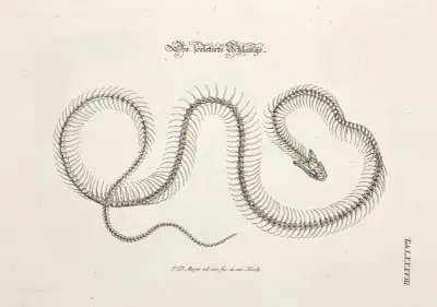 Angenehmer und nützlicher Zeit-Vertreib Pl.088 av Johann Daniel Meyer