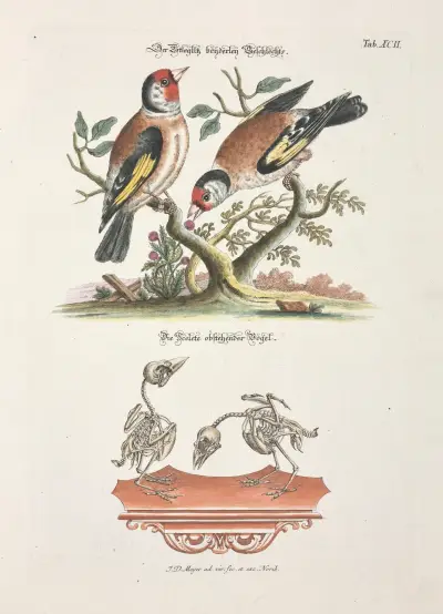 Angenehmer und nützlicher Zeit-Vertreib Pl.092 av Johann Daniel Meyer