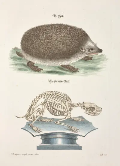 Angenehmer und nützlicher Zeit-Vertreib Pl.095 av Johann Daniel Meyer