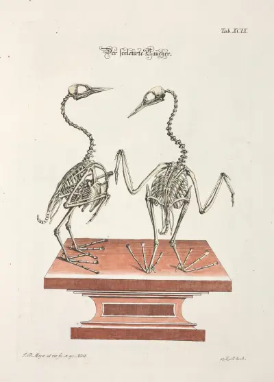 Angenehmer und nützlicher Zeit-Vertreib Pl.099 av Johann Daniel Meyer