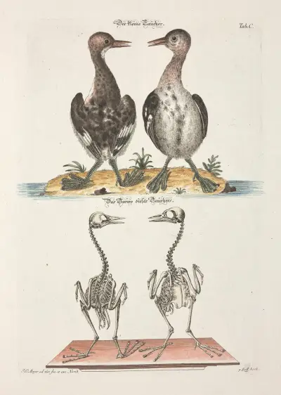 Angenehmer und nützlicher Zeit-Vertreib Pl.100 av Johann Daniel Meyer
