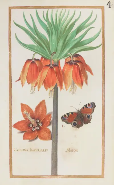 Kaiserkrone von Daniel Rabel