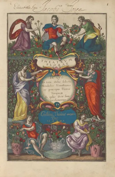 Theatrum florae Pl.01 av Daniel Rabel