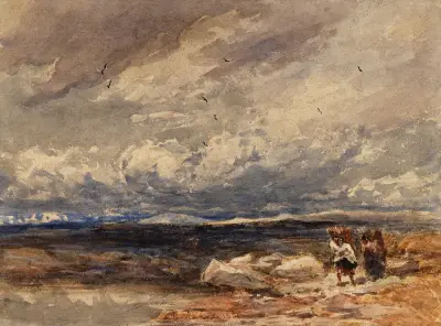 On Carrington Moss av David Cox