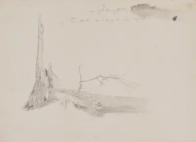 Baumstumpf von Caspar David Friedrich