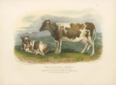 The Alderney Breed av David Low