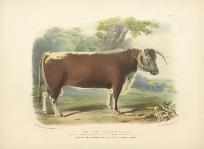 The Long-Horned Breed av David Low