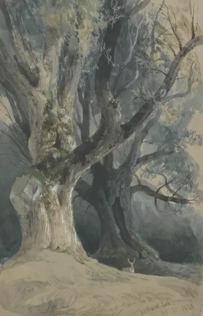 Trees in Northwick Park av David Roberts