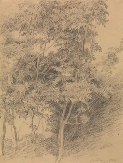 Tree Study av Sir David Wilkie