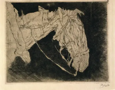 Pferdekopf von Jules De Bruycker