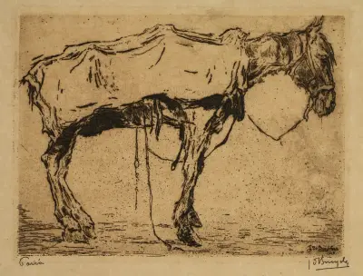Pariah av Jules De Bruycker