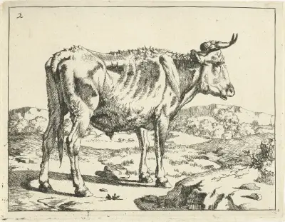 Stier neben einem Felsen stehend von Marcus de Bye