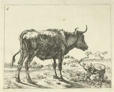 Stier stehend an einem Baumstumpf von Marcus de Bye