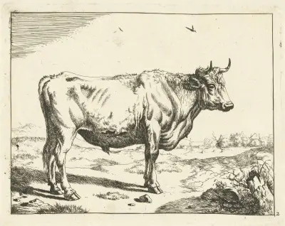 Stier nach rechts stehend, mit Vögeln von Marcus de Bye