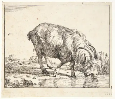 Trinkende Ziege von Marcus de Bye