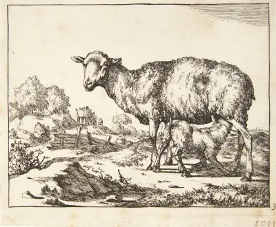 Gimmer og lam av Marcus de Bye