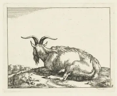 Liegende Ziege, von hinten gesehen von Marcus de Bye