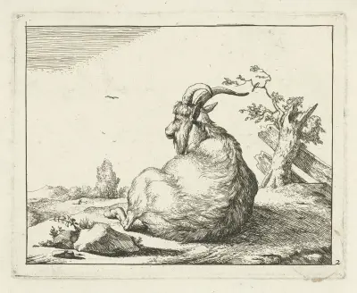Sitzende Ziege an einem gefällten Baum von Marcus de Bye