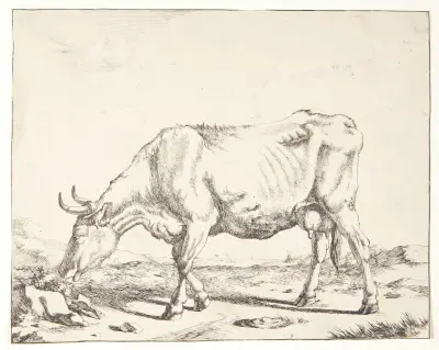 Grasende Kuh von Marcus de Bye
