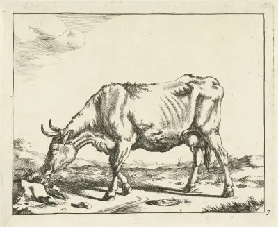 Weidende Kuh von Marcus de Bye