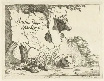 Kuhkopf hinter einem Felsen von Marcus de Bye