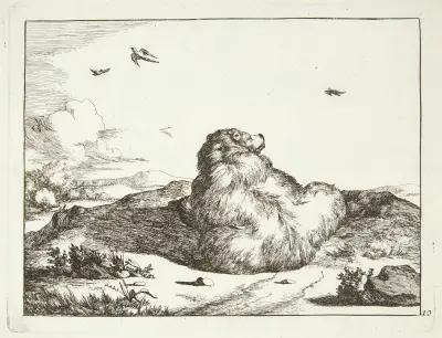 Liegender Bär, von hinten gesehen von Marcus de Bye