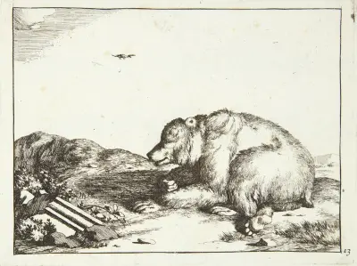 Liegender Bär, nach links gewandt von Marcus de Bye