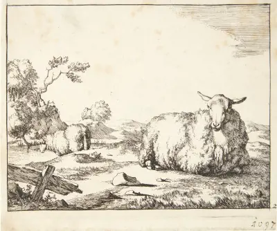 Liegendes Schaf von Marcus de Bye