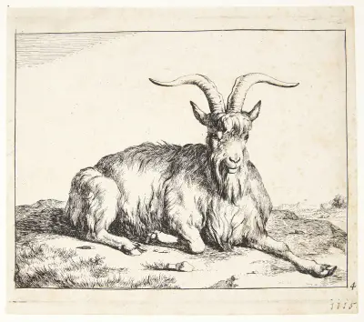 Ležící koza – č. 2, Marcus de Bye