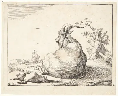 Liegende Ziege – Nr. 3 von Marcus de Bye