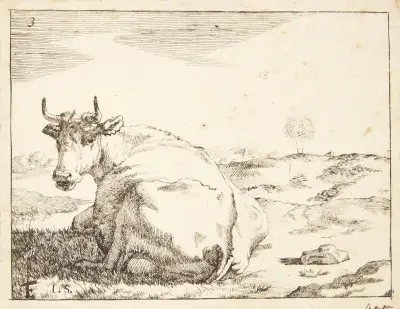 Liegende Kuh, von hinten gesehen von Marcus de Bye