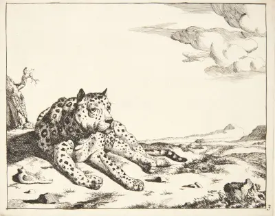 Liegender Leopard, von vorne gesehen von Marcus de Bye