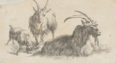 Widder, Schaf und Lamm von Marcus de Bye