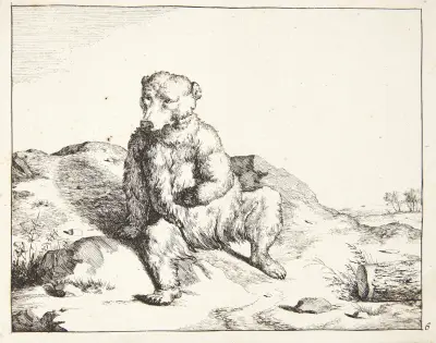 Sitzender Bär, von vorn von Marcus de Bye