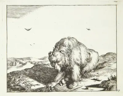 Sitzender Bär, von vorne von Marcus de Bye