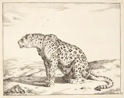 Sitzender weiblicher Leopard, nach links gewandt von Marcus de Bye