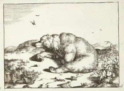 Schlafender Bär von Marcus de Bye