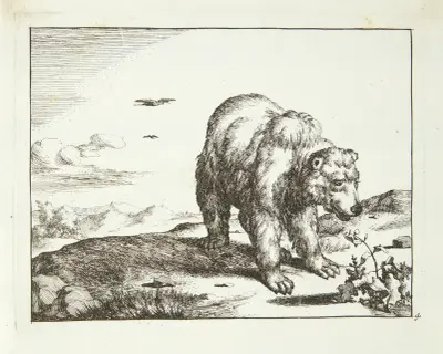 Stehender Bär in der Nähe einer Pflanze von Marcus de Bye
