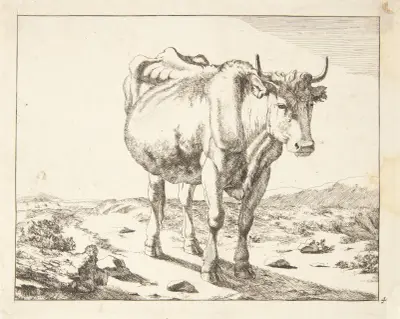 Stehende Kuh, von vorn von Marcus de Bye